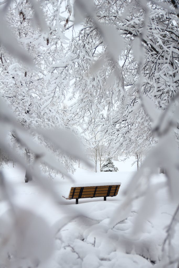 Brown Outdoor Bench With Snow on Top