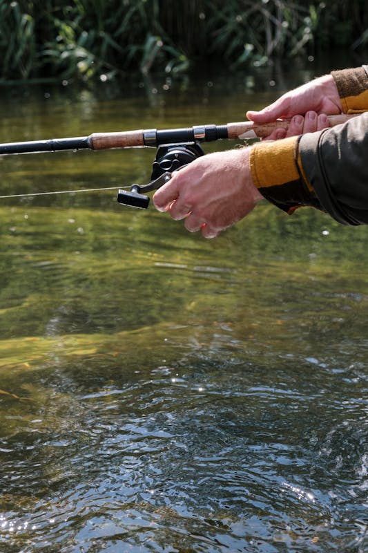 Close-up of a fisherman's hands holding a fishing rod over a calm riverbank.